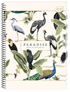 Kołozeszyt A4 50 kratka INTERDRUK