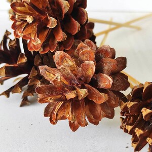 Farba ozdobna w sprayu Miedziana 250 ml