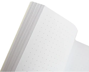 Brulion PT A5 64k w kropki 80g Metallic INT