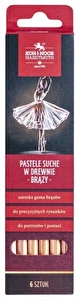 Zestaw pastele suche w drewnie 8820 Brązy 6szt KIN