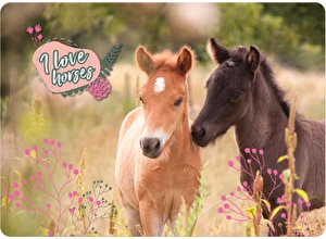 Podkładka laminowana A3 Konie 24