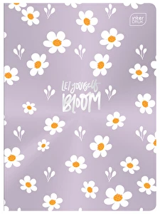 Zeszyt A5 32 3 linia kolor Interdruk Metallic