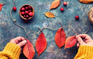 Zestaw kreatywny XL Jesienne Inspiracje Złota Jesień Zrób to sam!