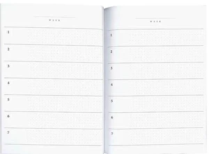 Planer notatnik A5 80k Satin Gold kropki INT