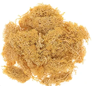 Mech dekoracyjny reniferowy ochrowy 30g