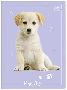 Notes Zeszyt do słówek A6/32k kratka Interdruk