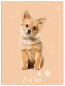 Notes Zeszyt do słówek A6/32k kratka Interdruk