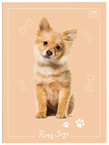 Notes Zeszyt do słówek A6/32k kratka Interdruk