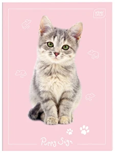 Notes Zeszyt do słówek A6/32k kratka Interdruk