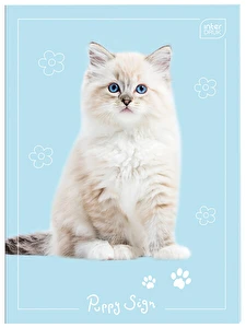 Notes Zeszyt do słówek A6/32k kratka Interdruk