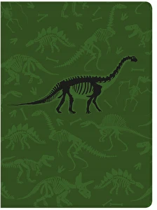 Zeszyt A5 16k 3= kolor linia mix Interdruk bas boys