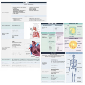 Zeszyt tematyczny A5 60k Hybrid w kratkę Biologia