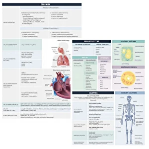Zeszyt tematyczny A5 60k Hybrid w kratkę Biologia