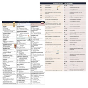 Zeszyt tematyczny A5 60k Hybrid w kratkę Historia