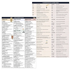 Zeszyt tematyczny A5 60k Hybrid w kratkę Historia