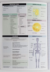 Zeszyt tematyczny A5 60k Hybrid w kratkę Biologia