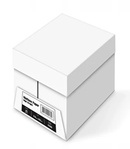 Papier ksero A4 80g biały 2500 ark.