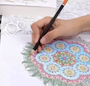 Zestaw do Szkicowania Rysowania Malowania Profesjonalny 74 szt. w Etui