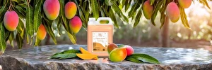 Mydło w płynie IH FRAGANTE MANGO 5L