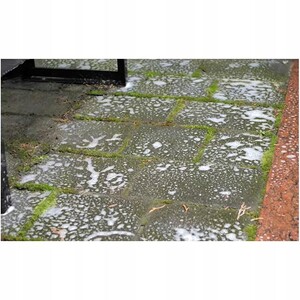 TENZI Środek do usuwania mchów i porostów z kostki brukowej 1L