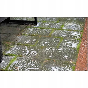 TENZI Środek do usuwania mchów i porostów z kostki brukowej 1L