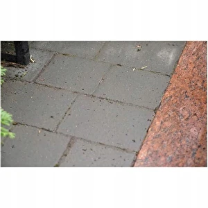 TENZI Środek do usuwania mchów i porostów z kostki brukowej 1L