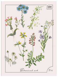 Zeszyt A4 96k w kratkę mix Interdruk Gilrs Boys MIX