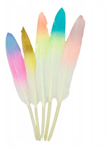 Piórka dekoracyjne kolorowe końcówki 10 szt