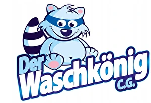 Proszek do prania firanek Der Waschkonig do białego 0,6 kg