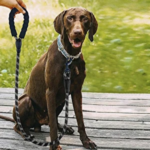 Smycz treningowa dla psa odblaskowa 5m czarna