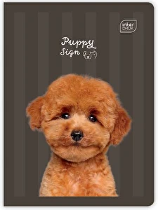 Zeszyt A5 16k 3 linia kolor Interdruk Puppy Sing