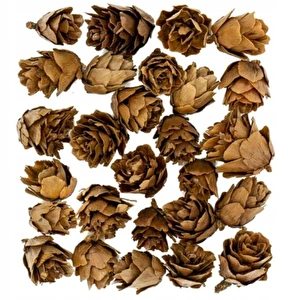 Szyszki mini dekoracyjne naturalne ozdobne Święta Stroik 2-3cm 30g