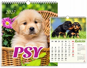 Kalendarz 2027 wieloplanszowy 33x33cm Psy ArtSezon